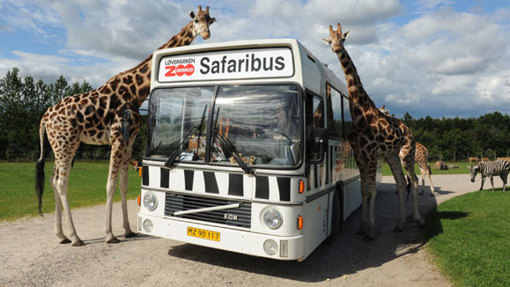 safari zoo danmark